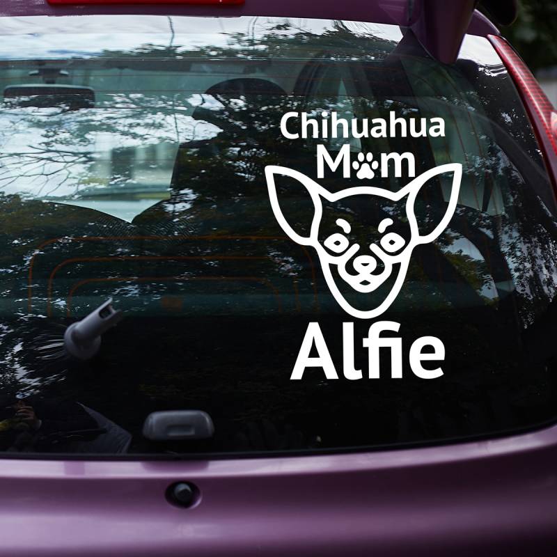 Autonálepka